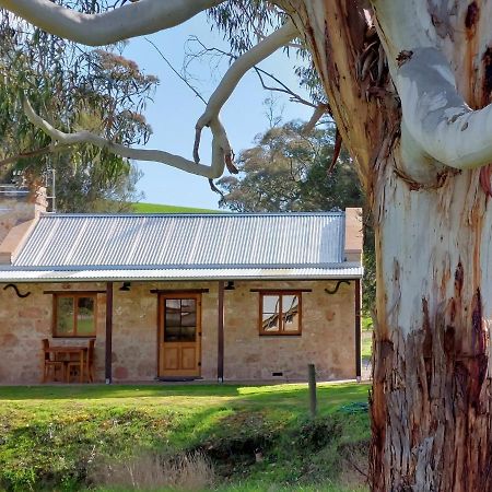 Bungaree Station Bed and Breakfast Εξωτερικό φωτογραφία