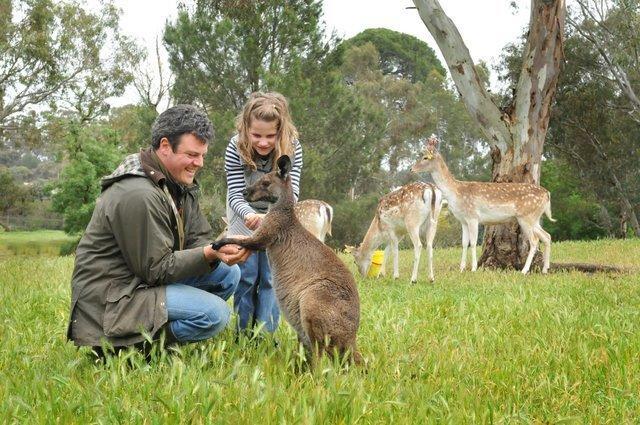 Bungaree Station Bed and Breakfast Εξωτερικό φωτογραφία